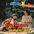 Tipe-X
