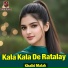 Khalid Malak