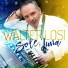 Walter Losi
