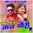 mukesh ratadiya