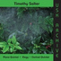 The Usk Ensemble