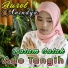Aurel Anindya