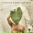 Demarca