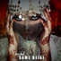 Sami Beigi