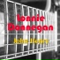 Lonnie Donegan