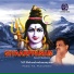 S. P. Balasubramanyam