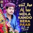 Irfan Ali Jamali