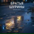 БРАТЬЯ ШУРИНЫ