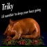 Triky