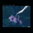 SamuW, Sweet Medicine