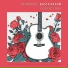 Acoustic Guitar Specialist