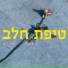 נועה שפירא