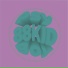 88KID