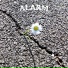 ALARM
