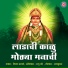 Vijay Sartape