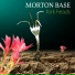 Morton Base