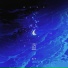 棉子