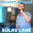 Rojhat Ronahi