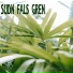 Sudn Fals Gren