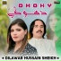 Dilawar Hussain Sheikh