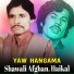 Shawali Afghan, Haikal