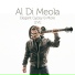 Al Di Meola