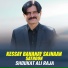 Shoukat Ali Raja