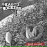 Kaoto Rockers
