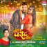 Navratan Pandey, Shilpi Raj