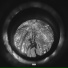AlPhoenix