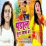 Mithilesh Singh Premi, Shilpi Raj