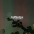 CallMeDee, LazyLofi Boy, Brunch Collect