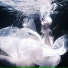 Galaxy Knight feat. 麦贰拾M20, catti