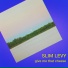 Slim Levy