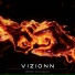 Vizionn