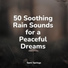 Relajación, Shakuhachi Sakano, Ocean Sounds