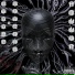 Snxxz3 feat. Raucous