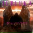 PINK CODE