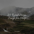 Ambient Forest, Sleep Songs 101, Tinnitus Aid