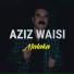 Aziz Waisi
