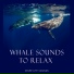 Inner Life Songs