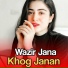 Wazir Jana