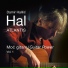 Damir Halilić-Hal