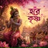 North Bengal Band