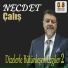 Necdet Çalış