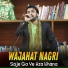 Wajahat Nagri