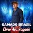 Gamado Brasil