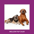 Relaxing Dog Music