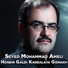 Seyed Mohammad Ameli