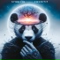 MrPanda